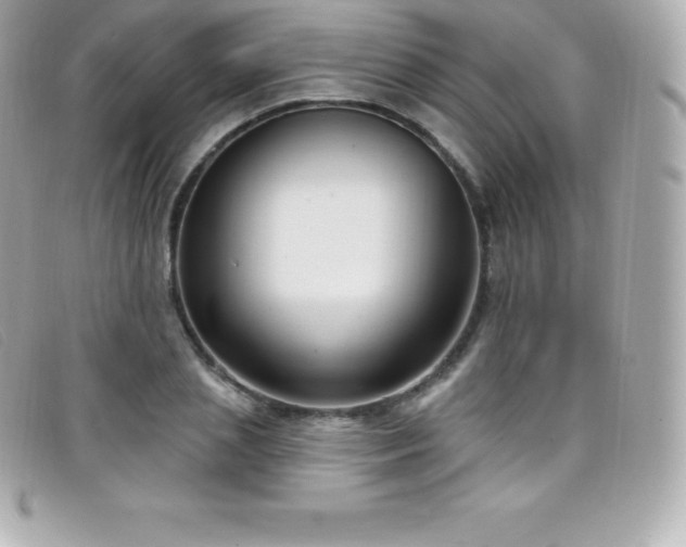 X0000099480837200805091607