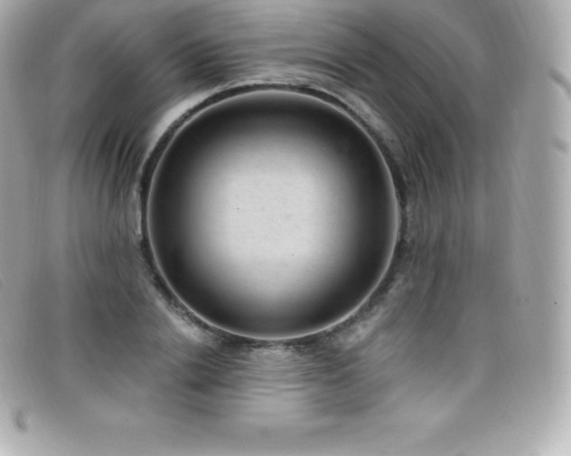 X0000099480838200805091607