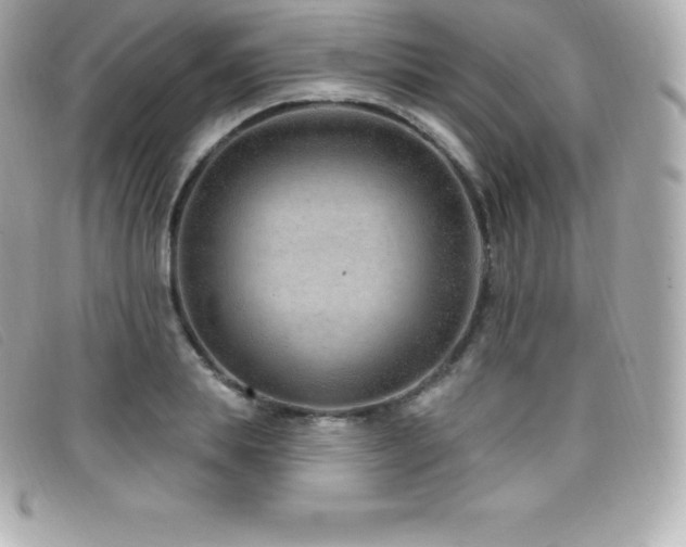 X0000099480839200805091607