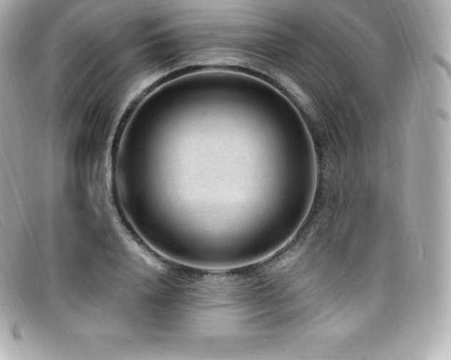 X0000099480840200805091607