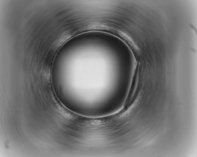 X0000099480841200805091607