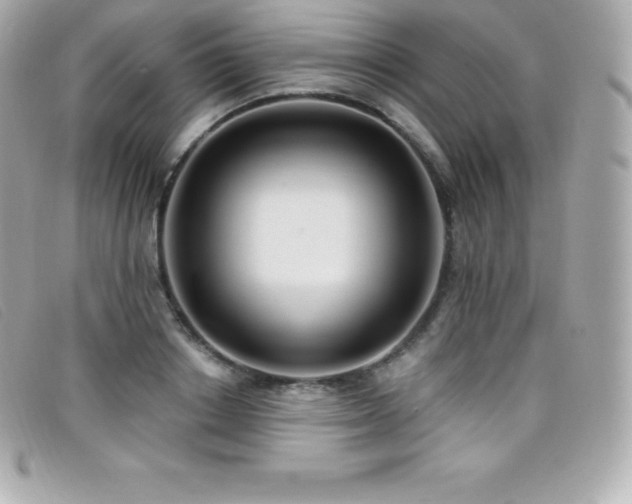 X0000099480842200805091607