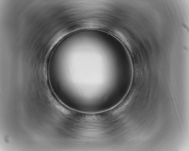X0000099480843200805091607