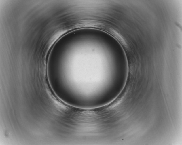 X0000099480844200805091607