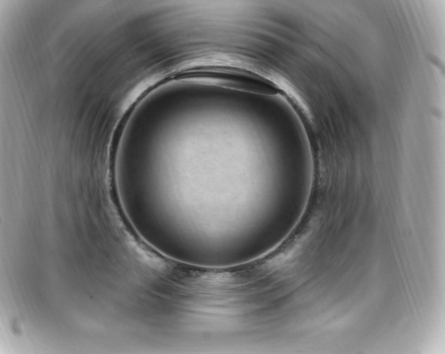 X0000099480845200805091607