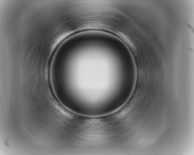 X0000099480846200805091607