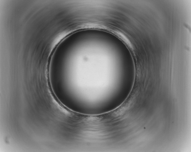 X0000099480847200805091607