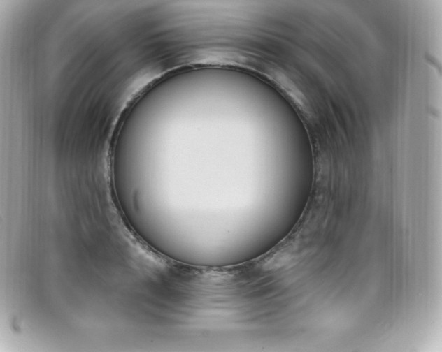 X0000099480848200805091607