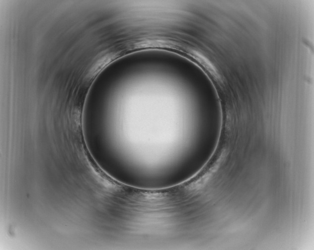 X0000099480849200805091607