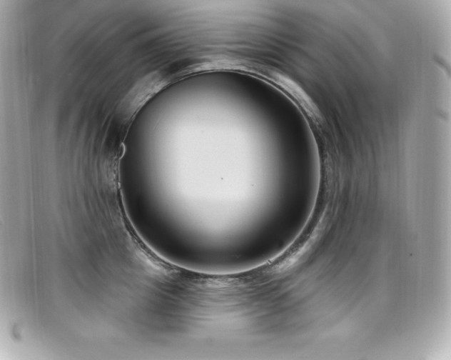 X0000099480857200805091607
