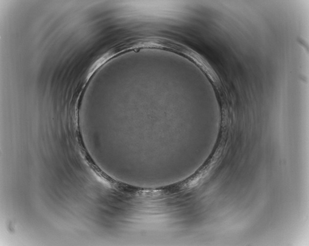 X0000099480858200805091607