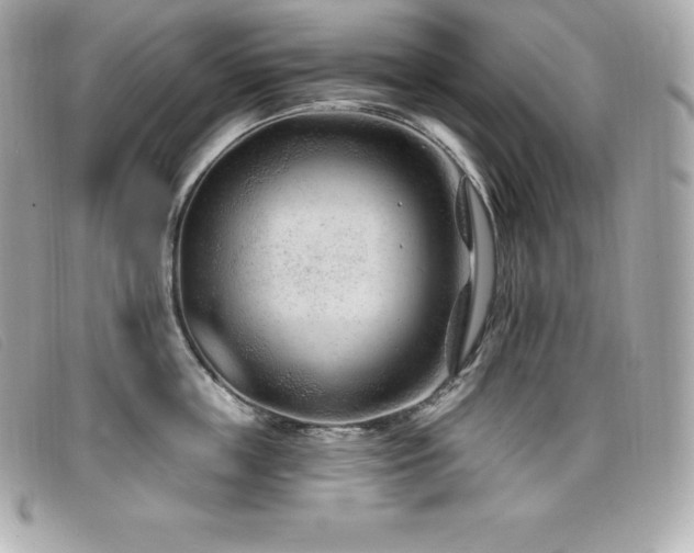 X0000099480859200805091607