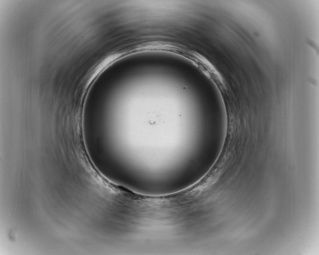 X0000099480860200805091607