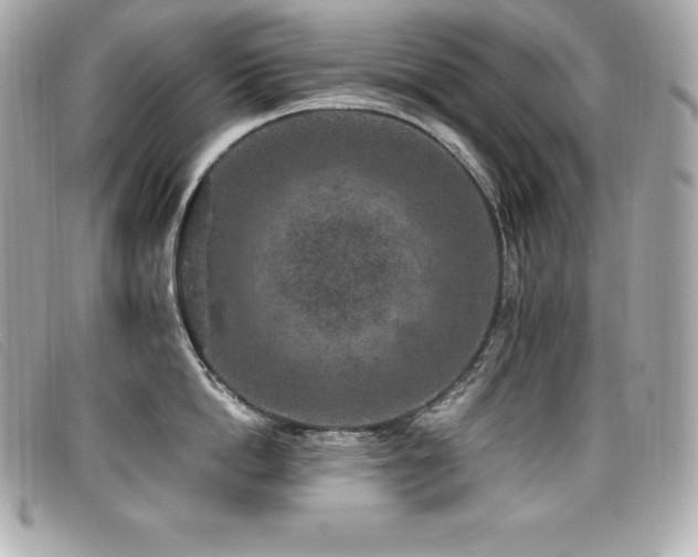 X0000099480862200805091607