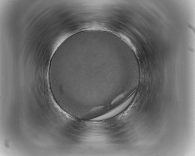 X0000099480863200805091607