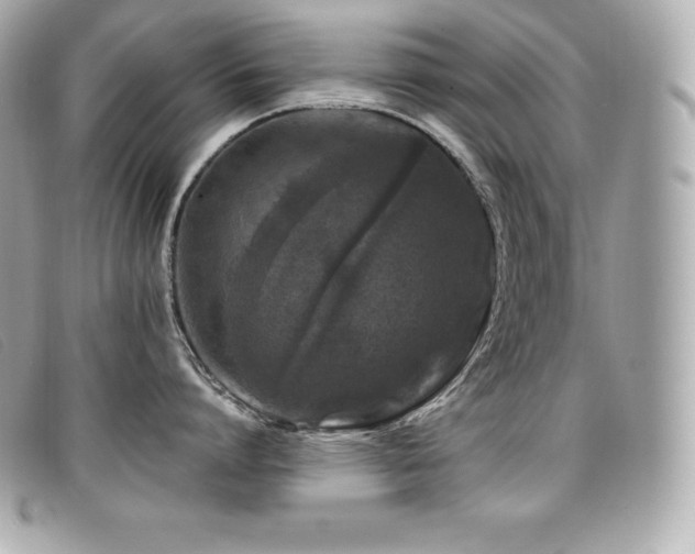 X0000099480864200805091607
