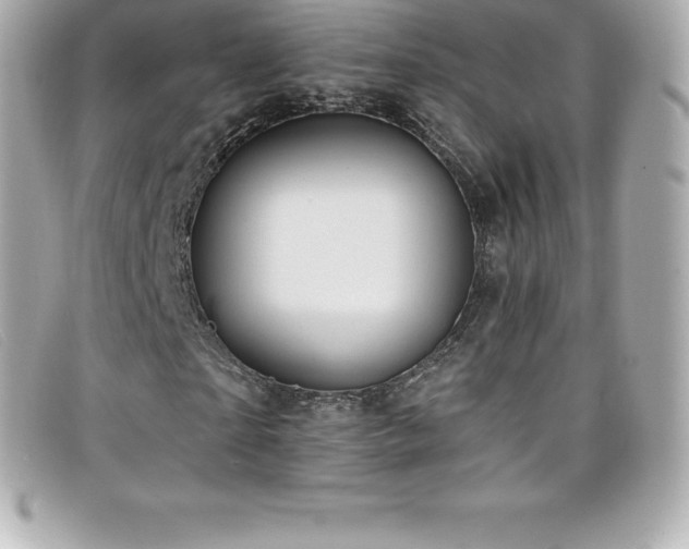 X0000099480865200805091606