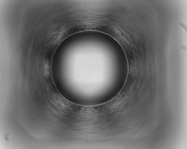 X0000099480866200805091606