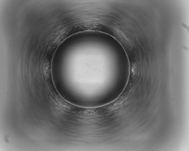 X0000099480867200805091606