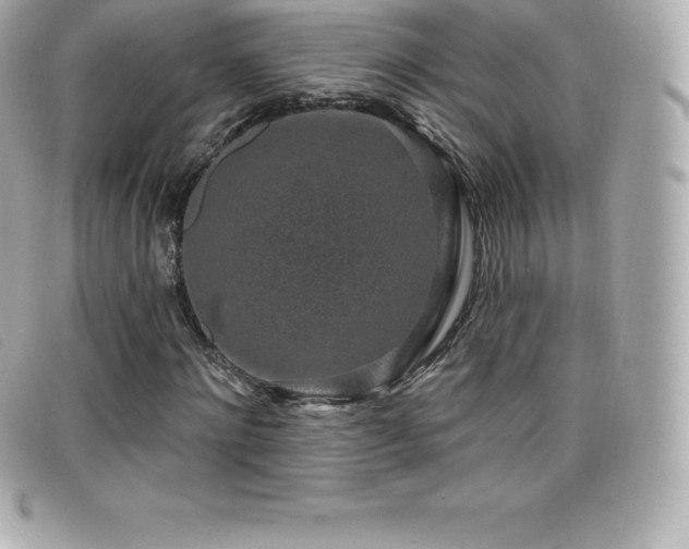 X0000099480868200805091606