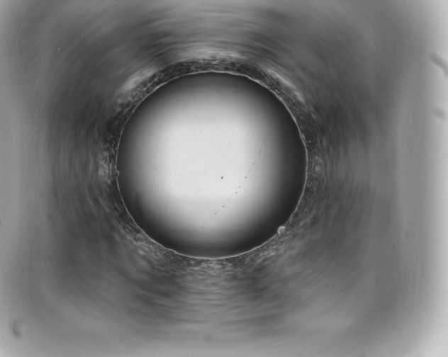 X0000099480869200805091606