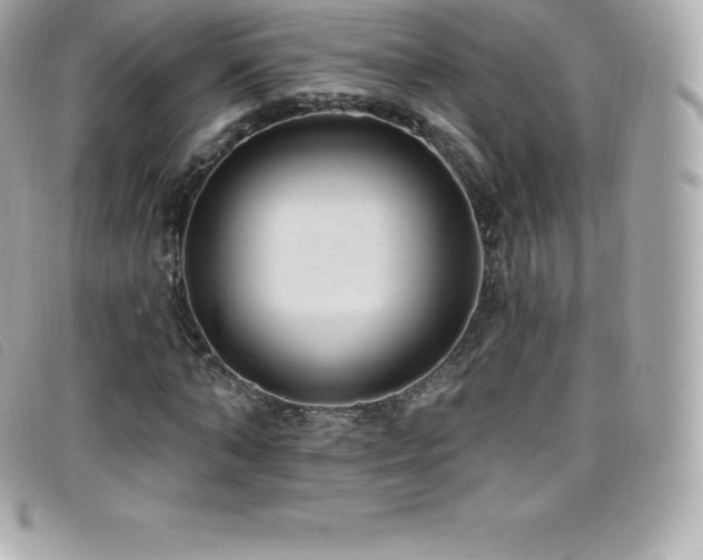 X0000099480870200805091606