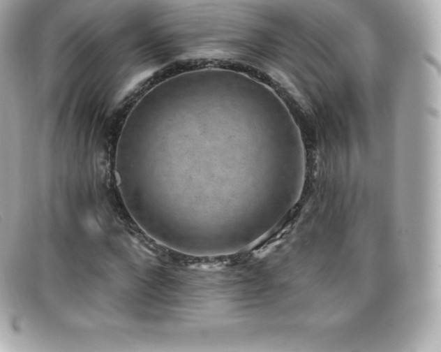 X0000099480872200805091606