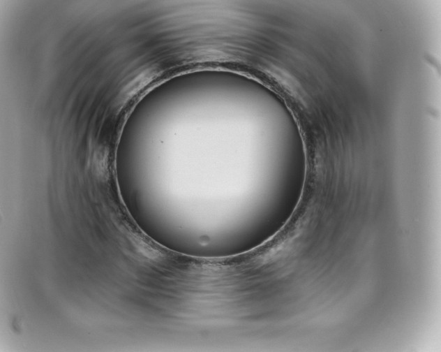 X0000099480873200805091606