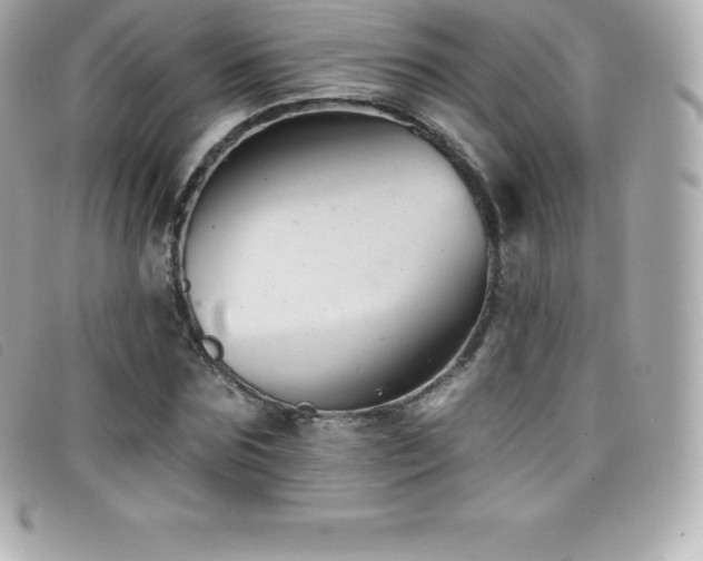 X0000099480875200805091606