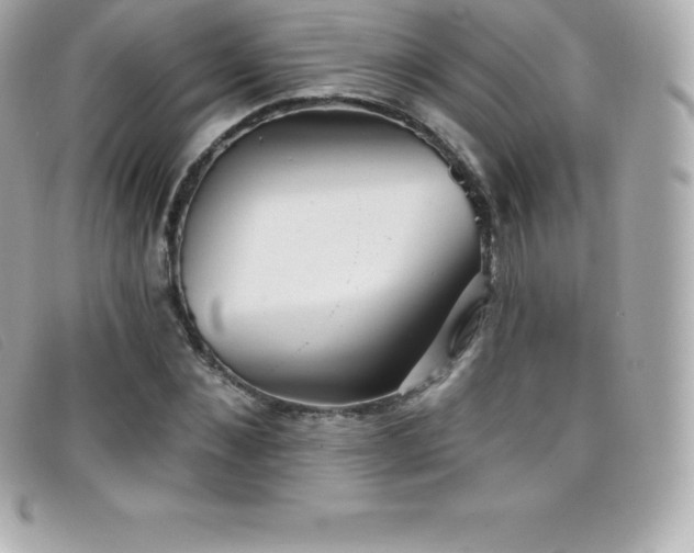 X0000099480876200805091606