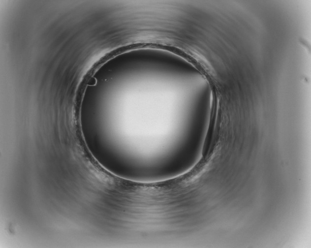 X0000099480880200805091606