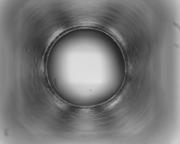 X0000099480883200805091606