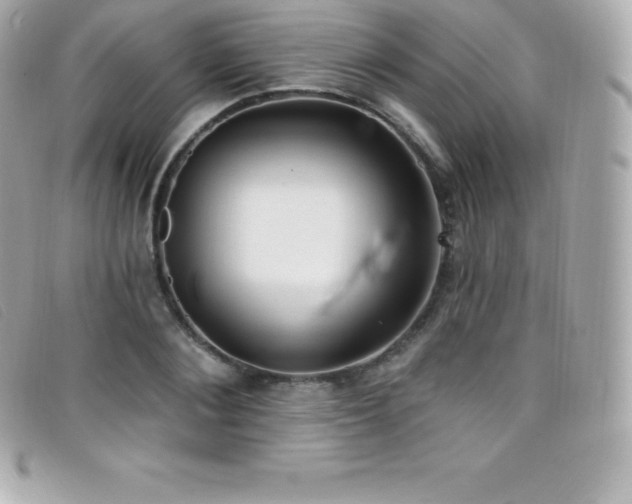 X0000099480884200805091606