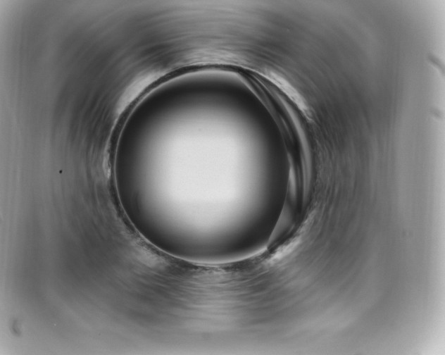 X0000099480885200805091606