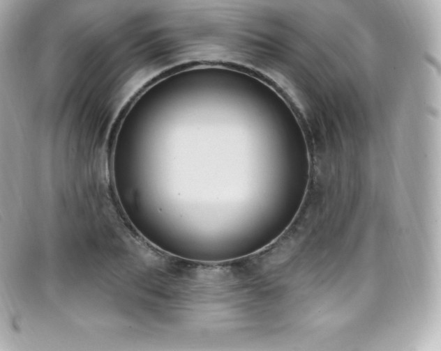 X0000099480887200805091606