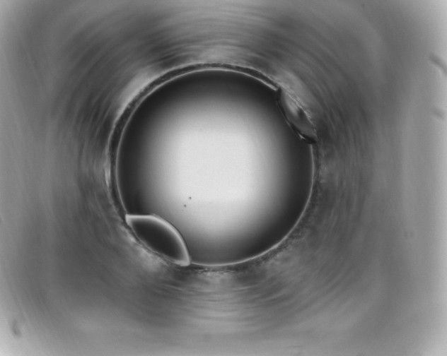 X0000099480888200805091606