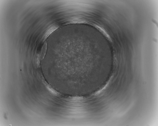 X0000099480889200805091606