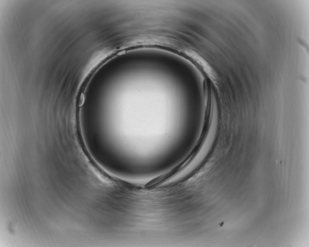 X0000099480894200805091606