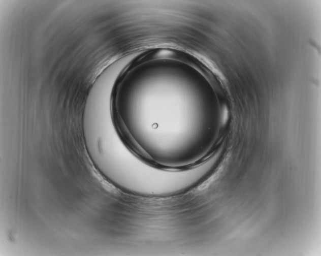 X0000099480897200805091606