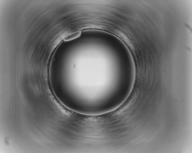 X0000099480898200805091606