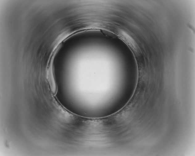 X0000099480900200805091606