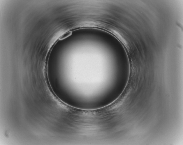 X0000099480901200805091606