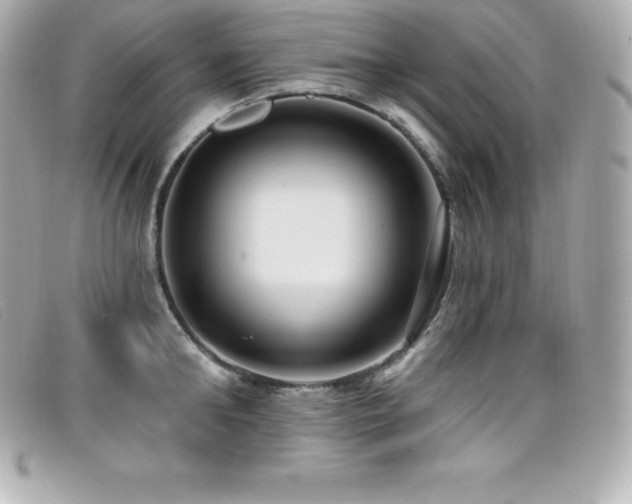 X0000099480902200805091606