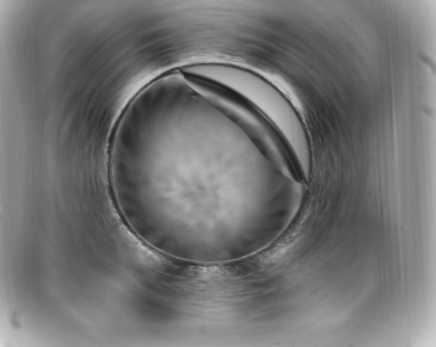 X0000099480903200805091606