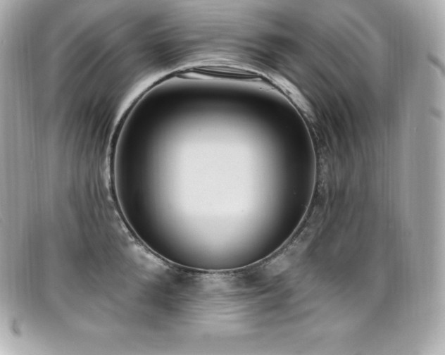 X0000099480904200805091606