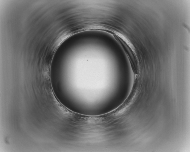 X0000099480905200805091606