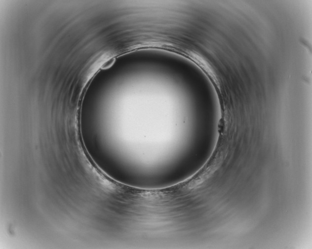 X0000099480906200805091606