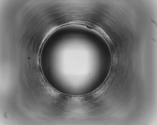 X0000099480908200805091606