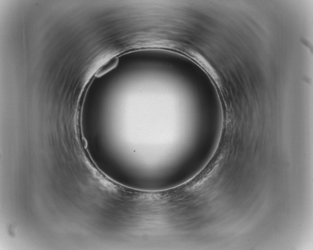 X0000099480909200805091606