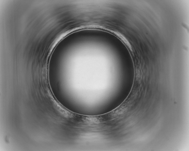 X0000099480911200805091606